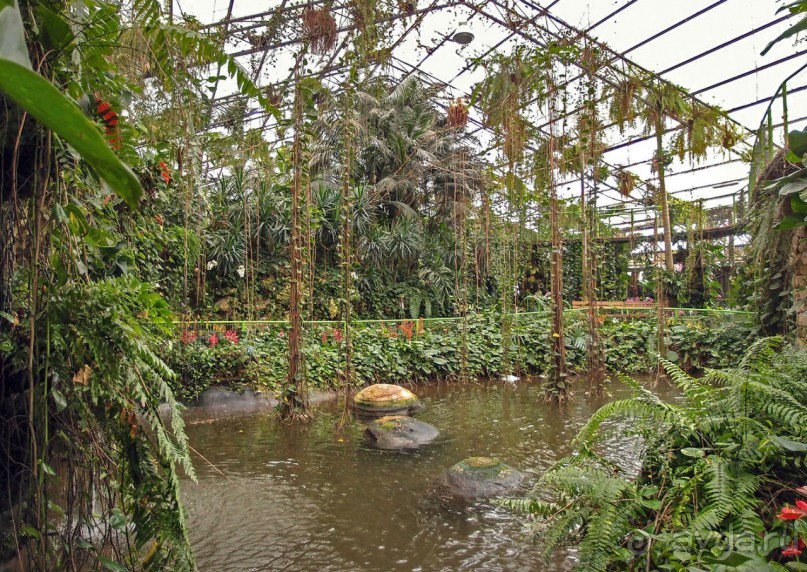 Воплощённая Утопия