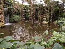 Воплощённая Утопия