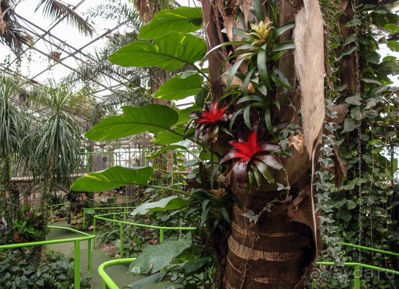 Воплощённая Утопия