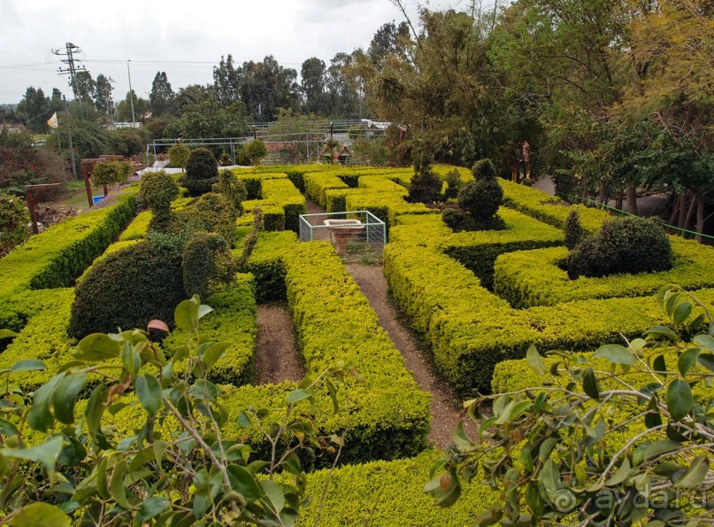 Воплощённая Утопия