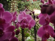 Воплощённая Утопия