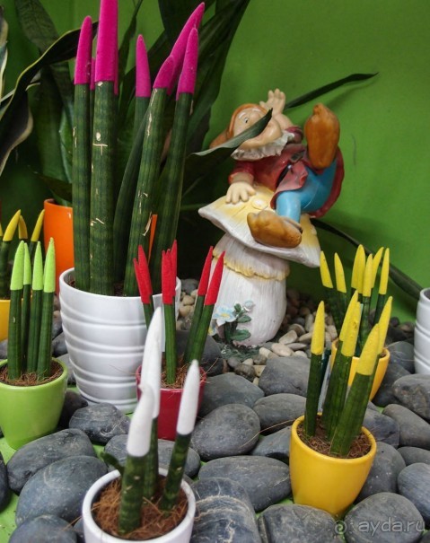 Воплощённая Утопия