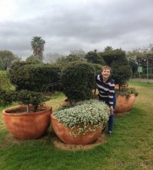 Воплощённая Утопия