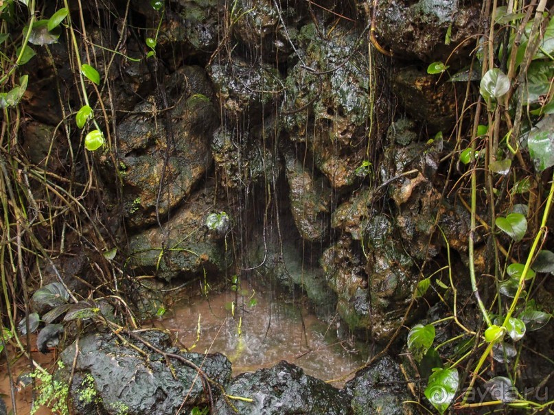 Воплощённая Утопия