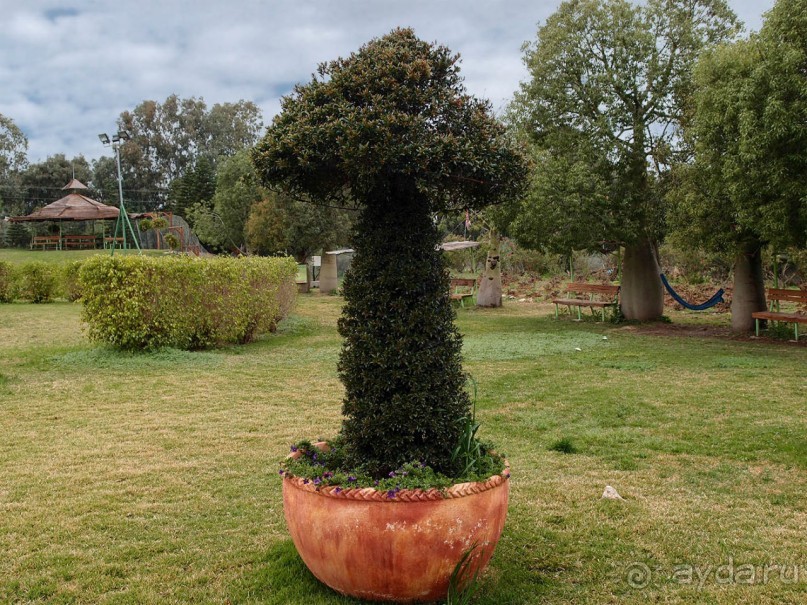 Воплощённая Утопия