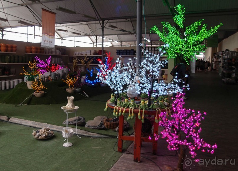 Воплощённая Утопия