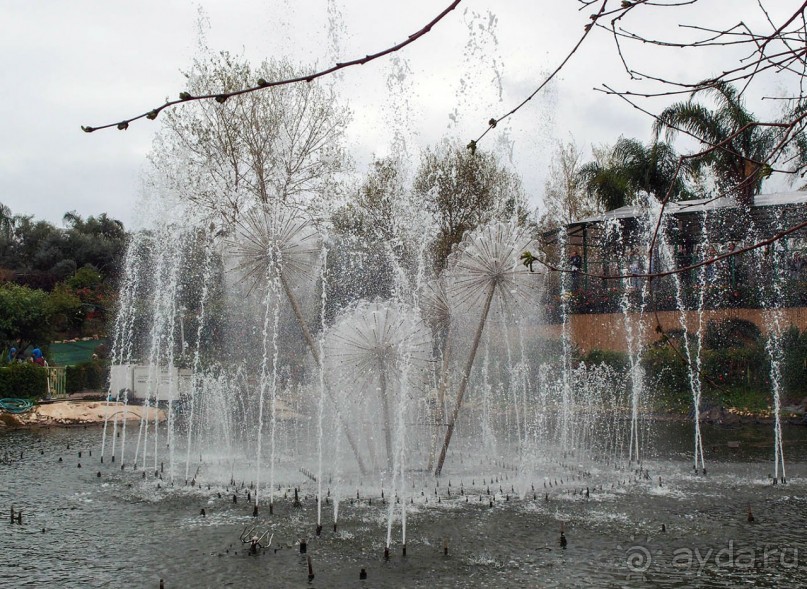 Воплощённая Утопия