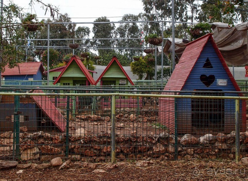 Воплощённая Утопия