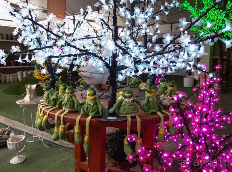 Воплощённая Утопия