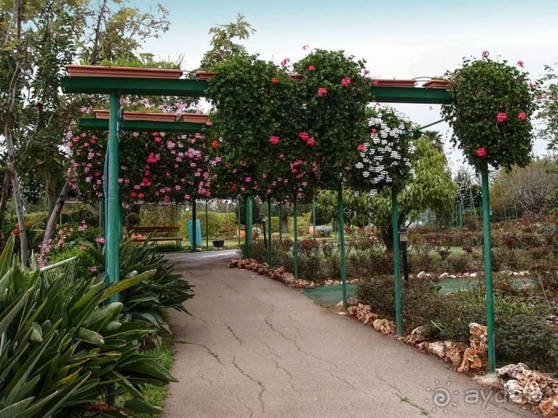 Воплощённая Утопия