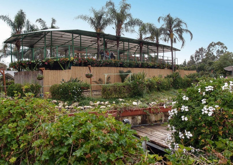 Воплощённая Утопия