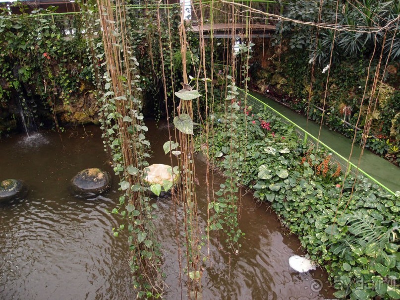 Воплощённая Утопия