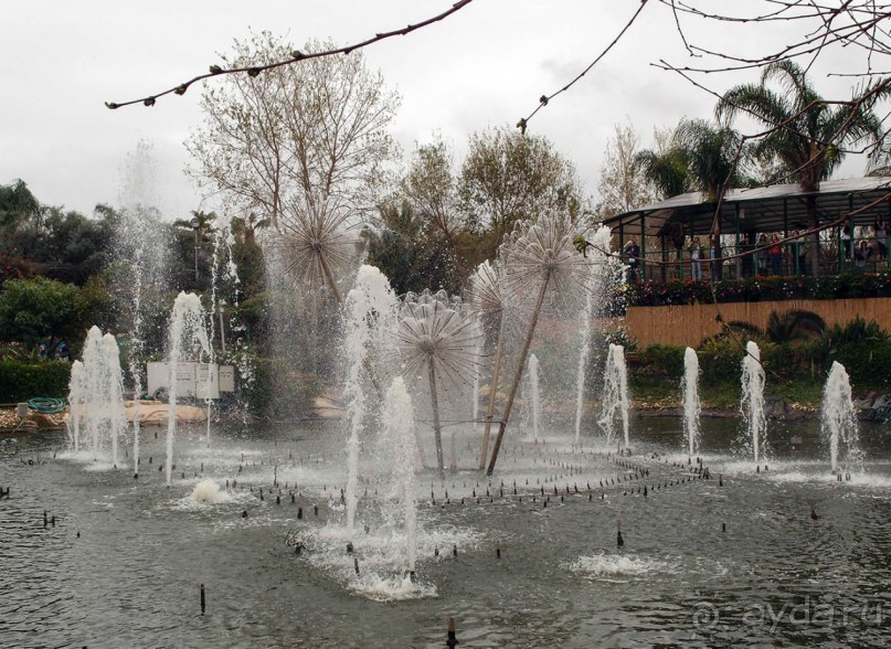 Воплощённая Утопия