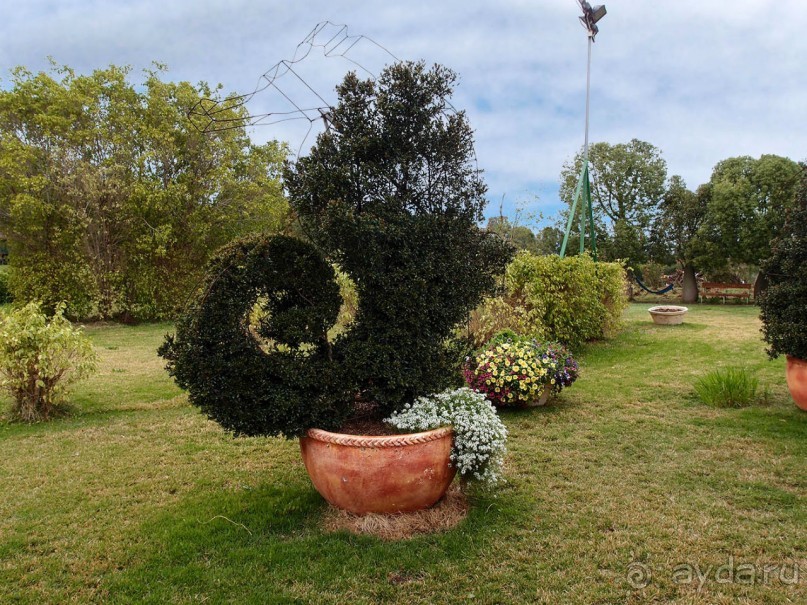 Воплощённая Утопия