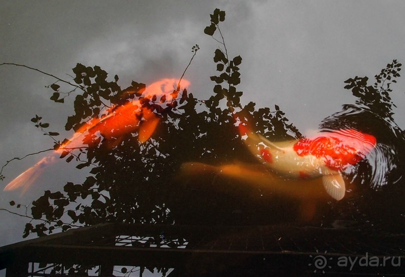 Воплощённая Утопия