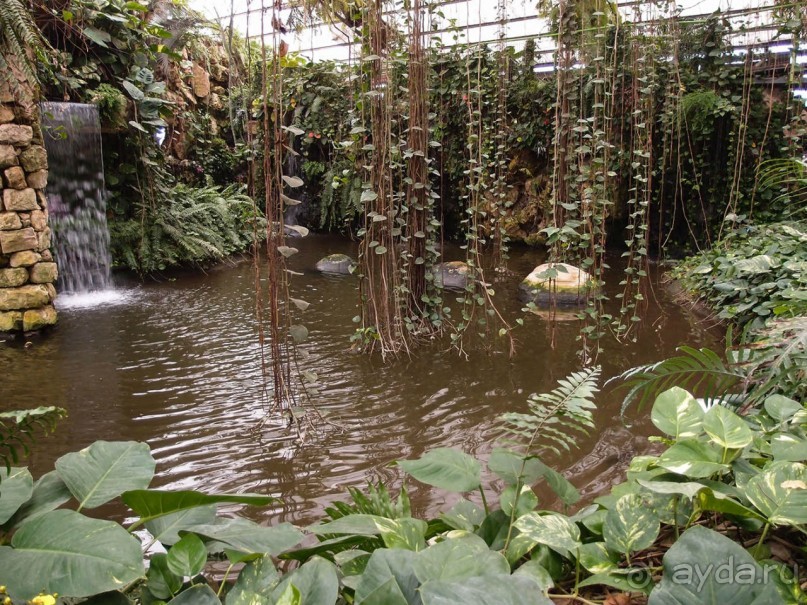 Воплощённая Утопия