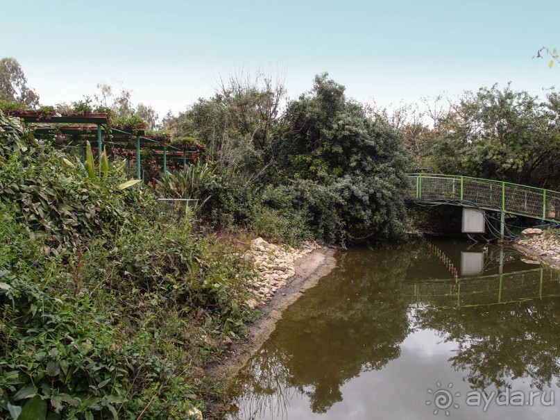 Воплощённая Утопия