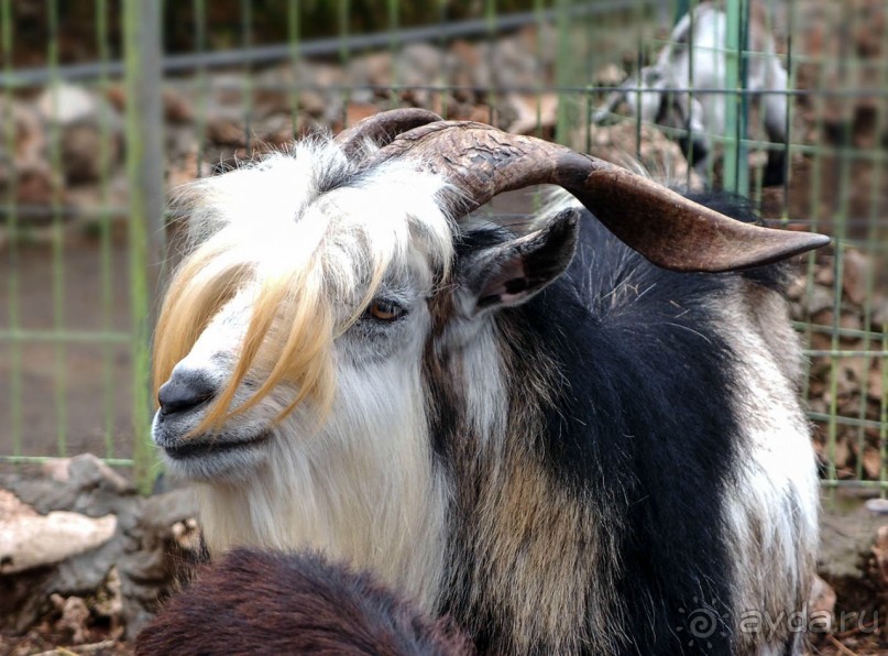 Воплощённая Утопия