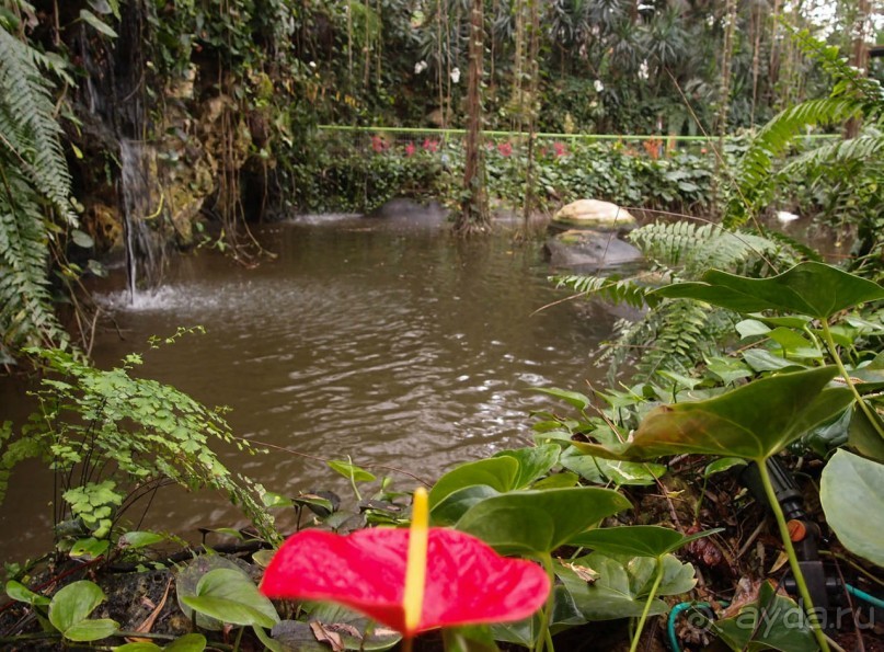 Воплощённая Утопия