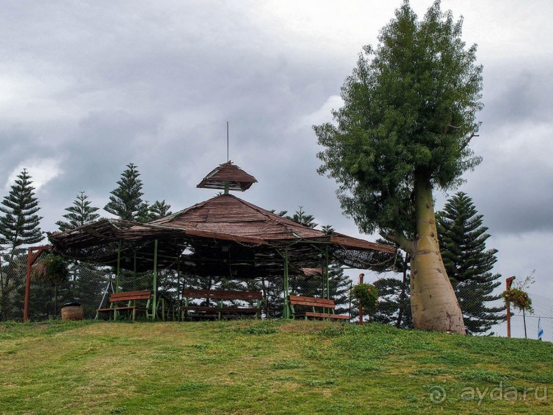 Воплощённая Утопия