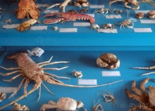 Остенде и кинозвёзды