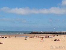 Альбом отзыва "Остенде и кинозвёзды"