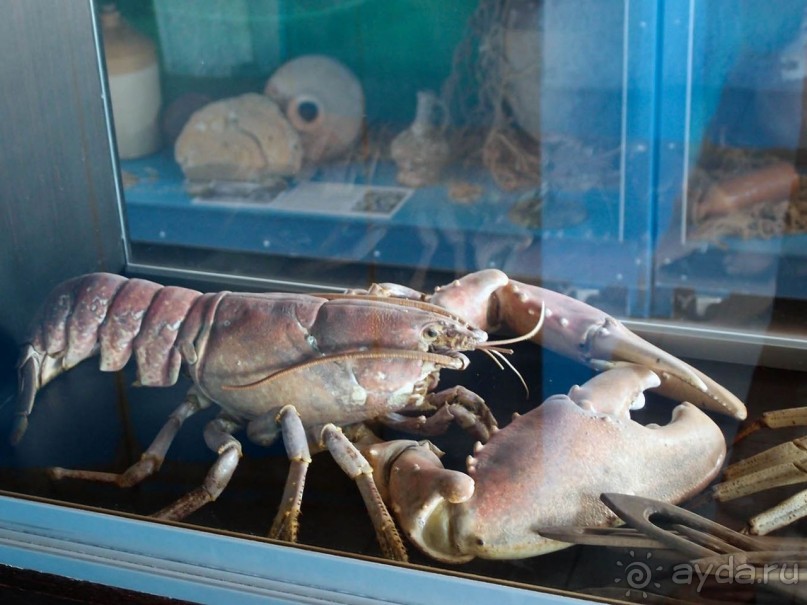 Остенде и кинозвёзды