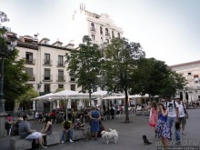 Вечерняя симфония Calle Alcala
