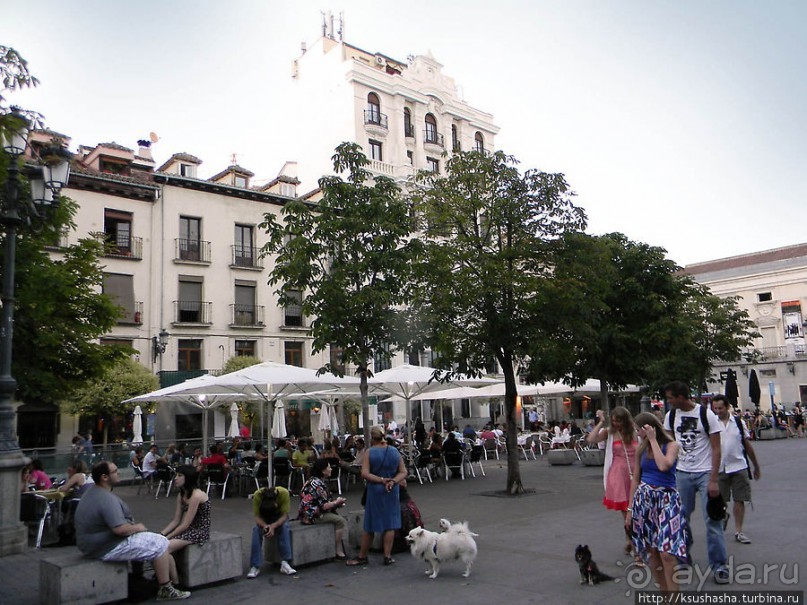 Вечерняя симфония Calle Alcala