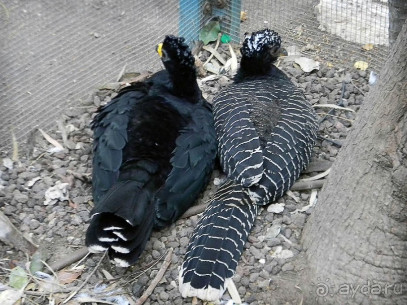 Просто суббота