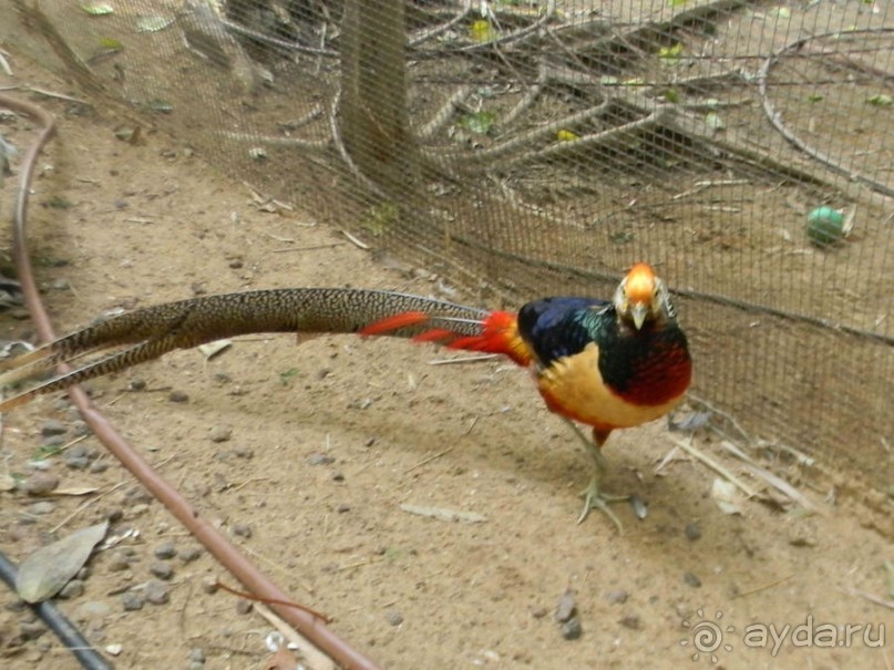 Просто суббота