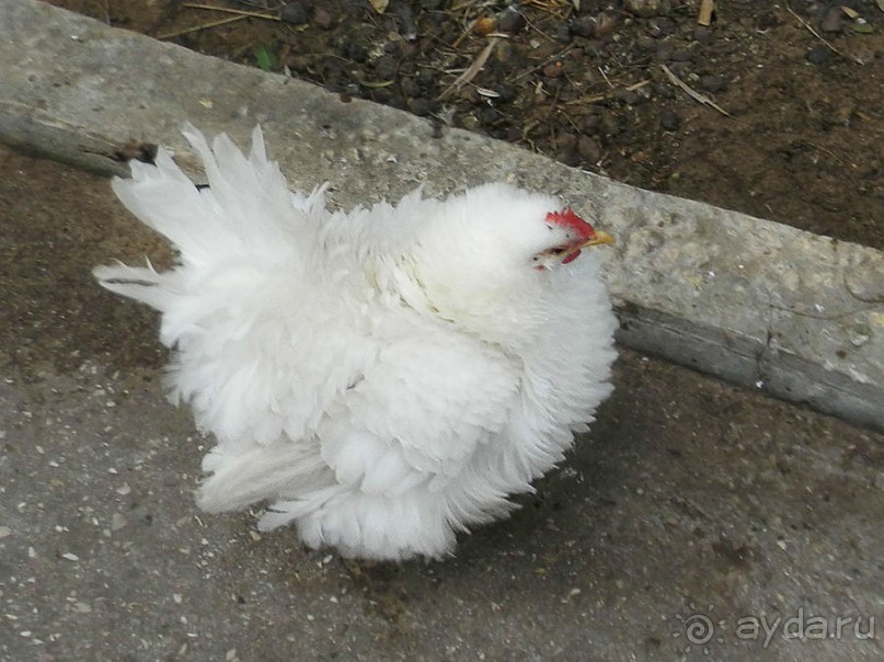 Просто суббота