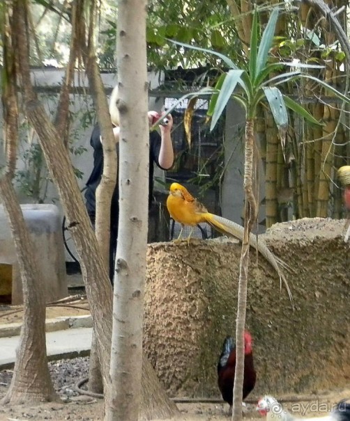 Просто суббота