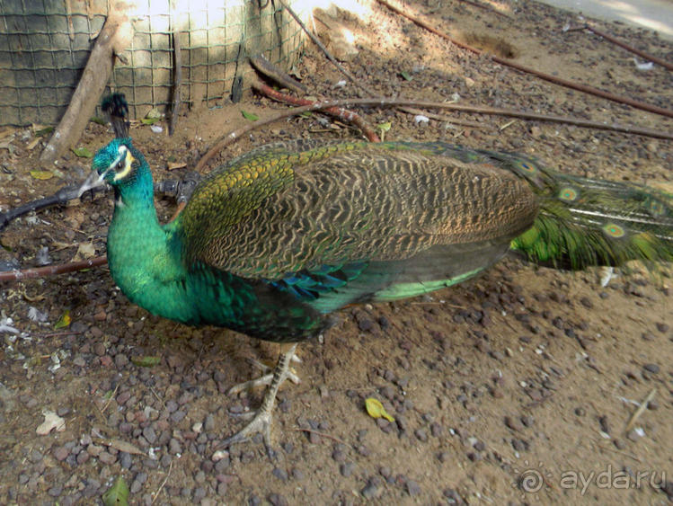 Просто суббота