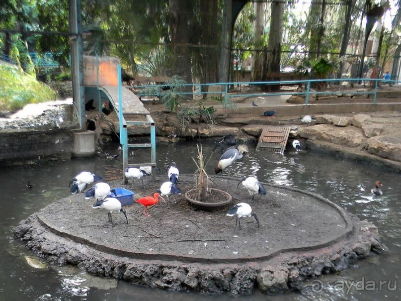 Просто суббота