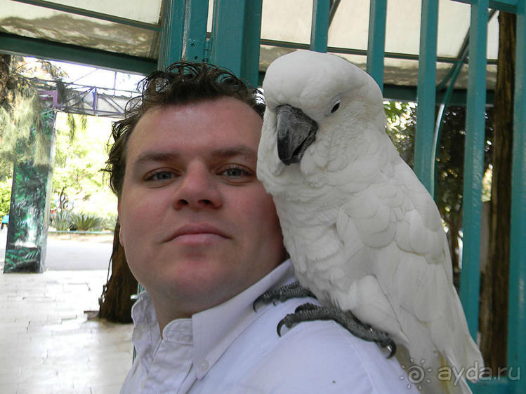 Просто суббота