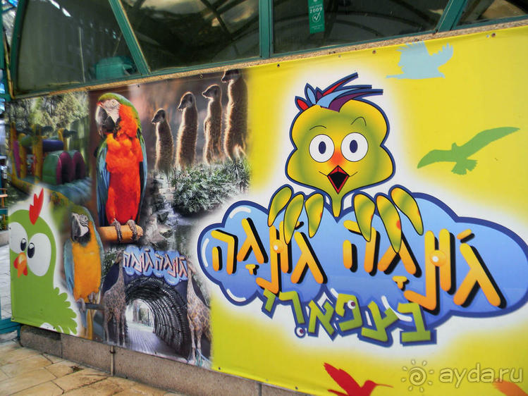 Просто суббота