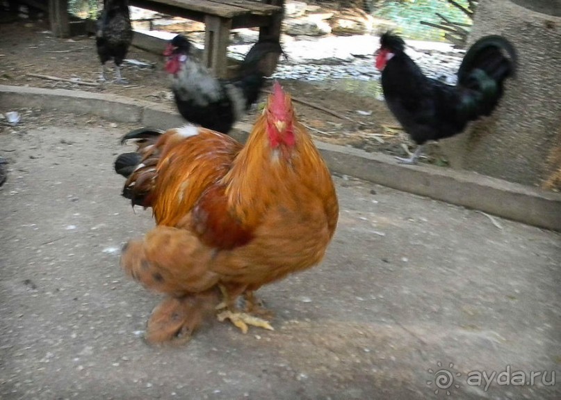 Просто суббота