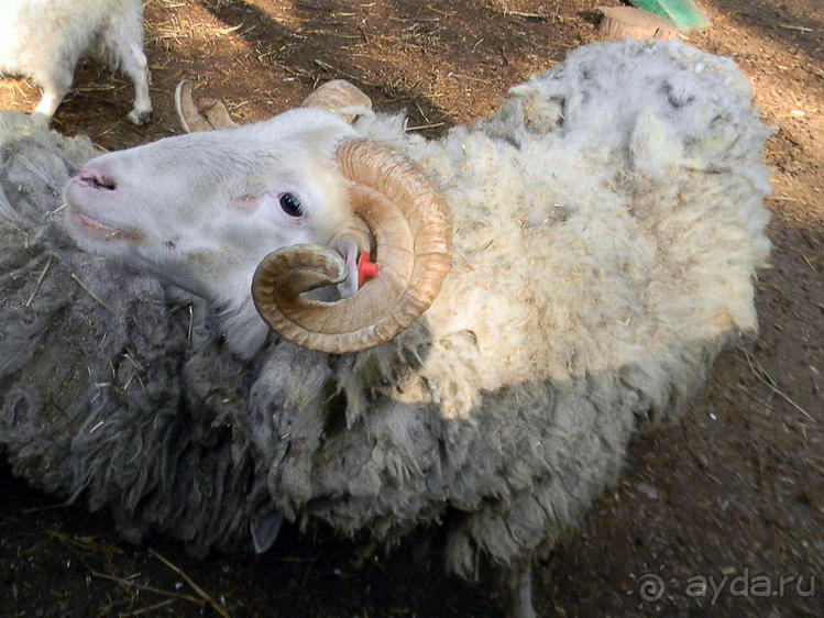 Просто суббота