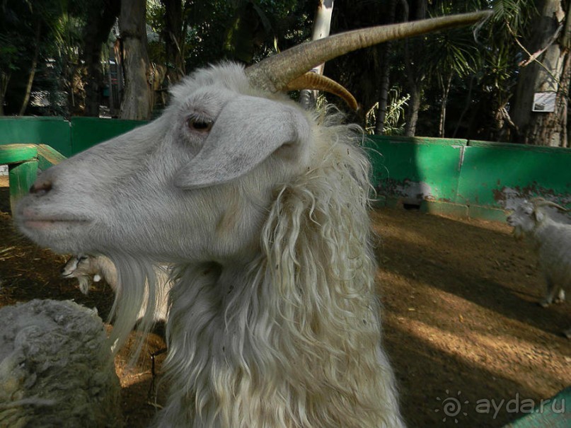 Просто суббота