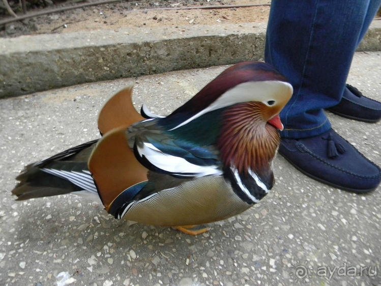 Просто суббота