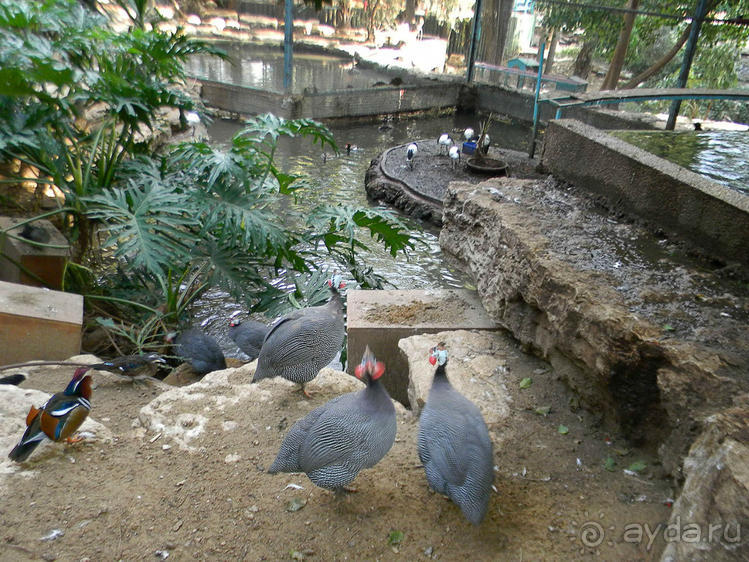 Просто суббота