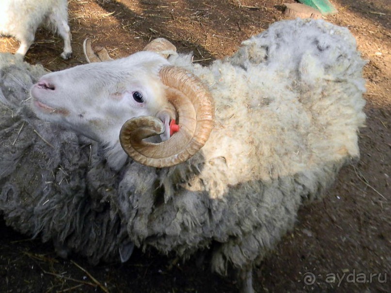 Просто суббота