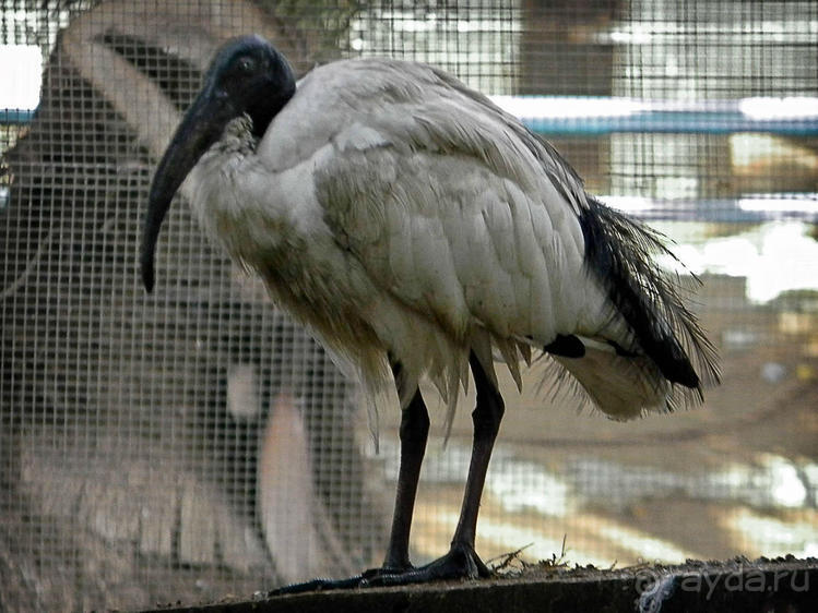 Просто суббота