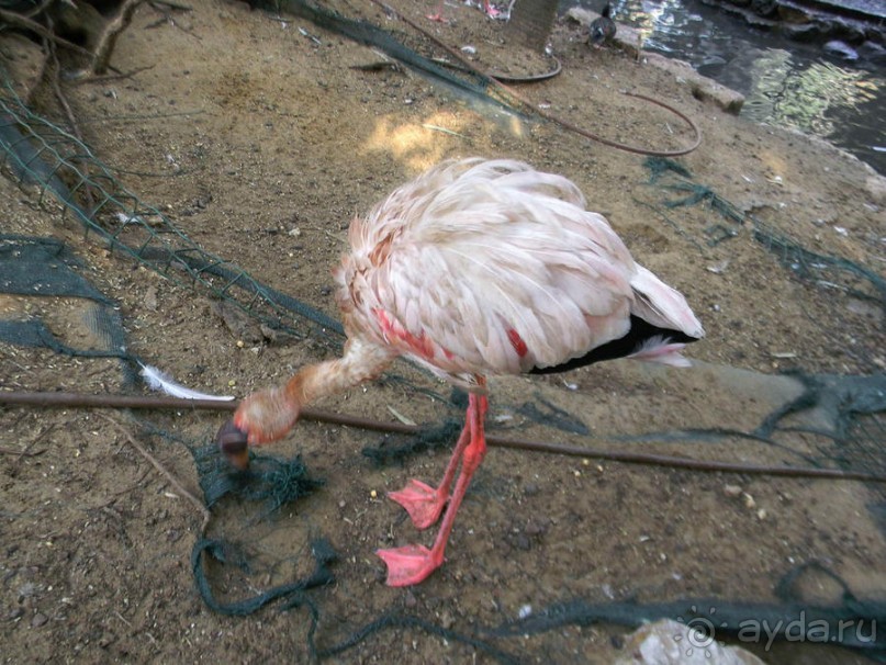 Просто суббота