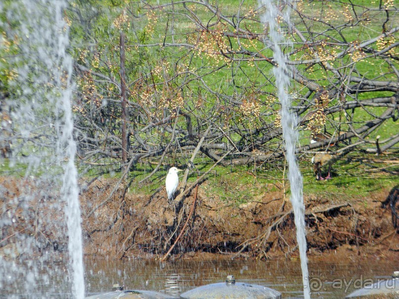 Просто суббота