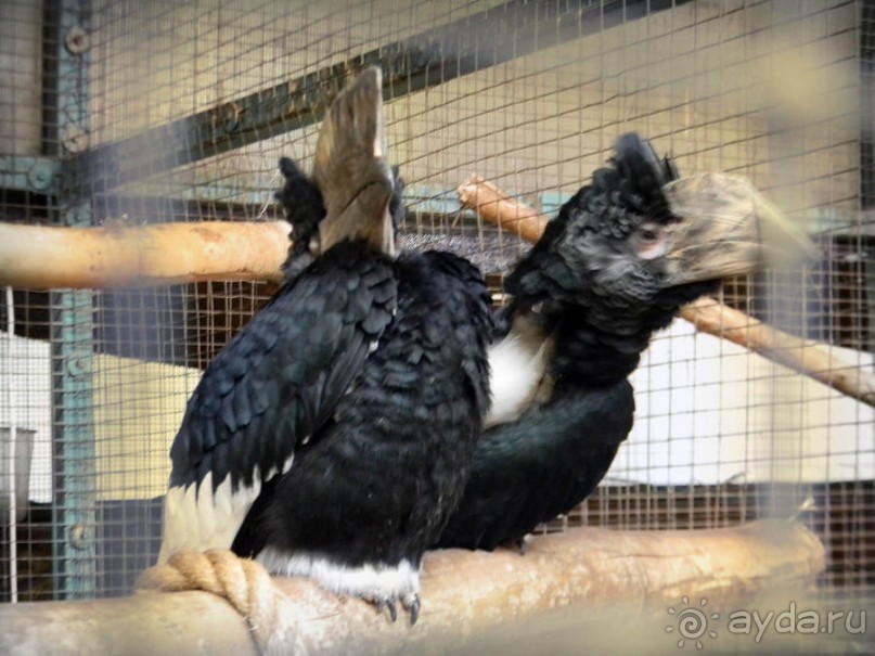 Просто суббота