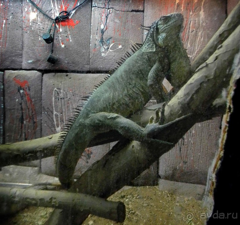 Просто суббота