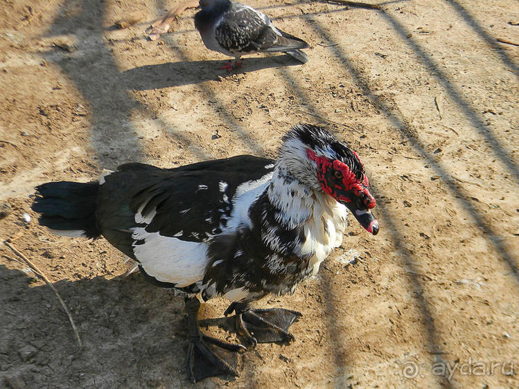 Просто суббота