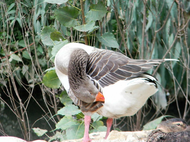 Просто суббота